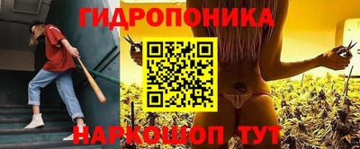 молекула духа Донской