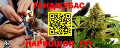 молекула духа Донской